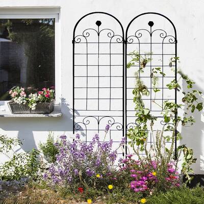Black Metal Garden Rustproof Trellis for Climbing Plants (2 Pack)