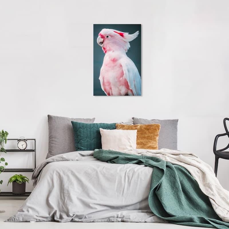 Wynwood Studio Canvas Animals Talkative Cockatoo Pink and Modern & Contemporary Wall Art Canvas Print - 24 x 16