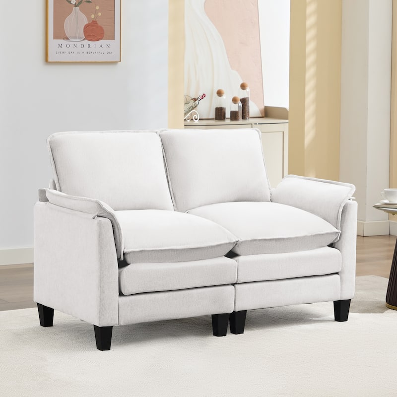 Luxury 2-Seat Sofa – Cloud-Like Comfort, Sturdy Design – For Living Rooms & Offices