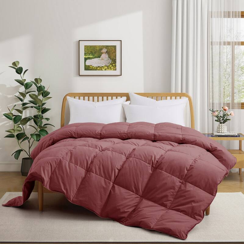 All Season Organic Cotton Down & Feather Comforter Made in Germany - California King - Brick Red