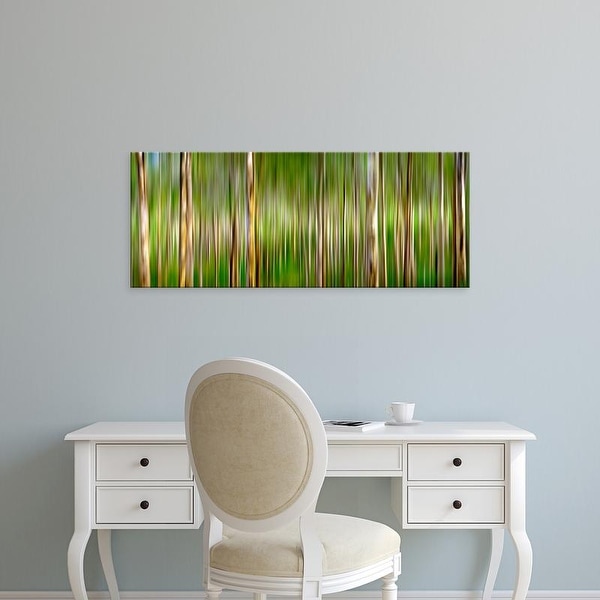 Easy Art Prints Panoramic Image 'trees in forest, Boranup Karri Forest, Western Australia, Australia' Canvas Art