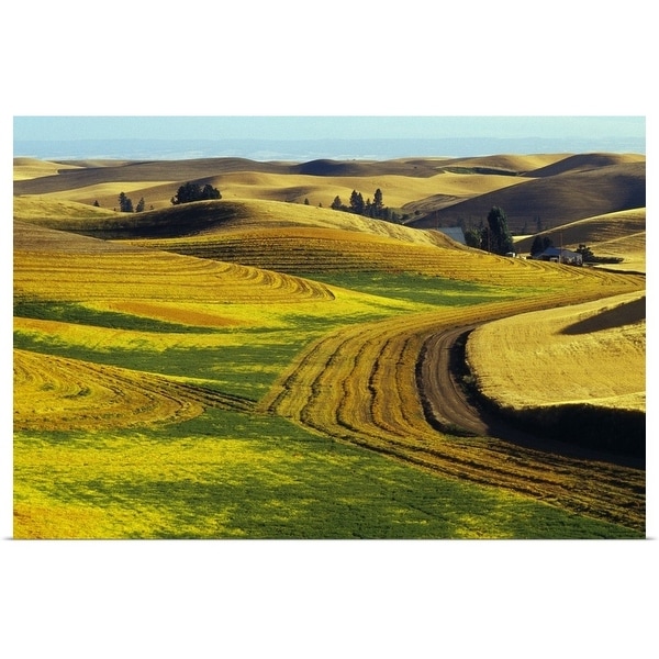 "Patterns in farm fields, rolling hills of Palouse region, Washington" Poster Print