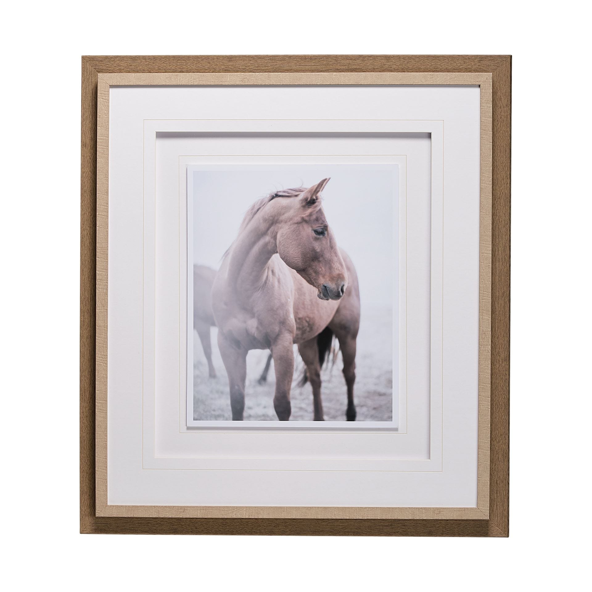 Horse 9 by Chris Dunker a Framed Photo Art Print Matted under Glass