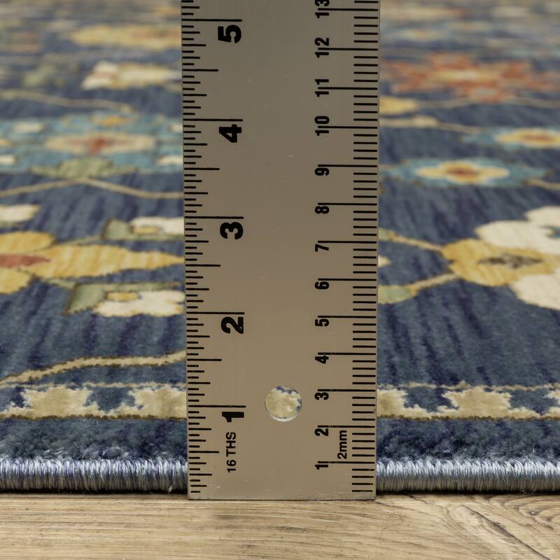 Style Haven Federica Bohemian Oriental Fringe Edge Area Rug