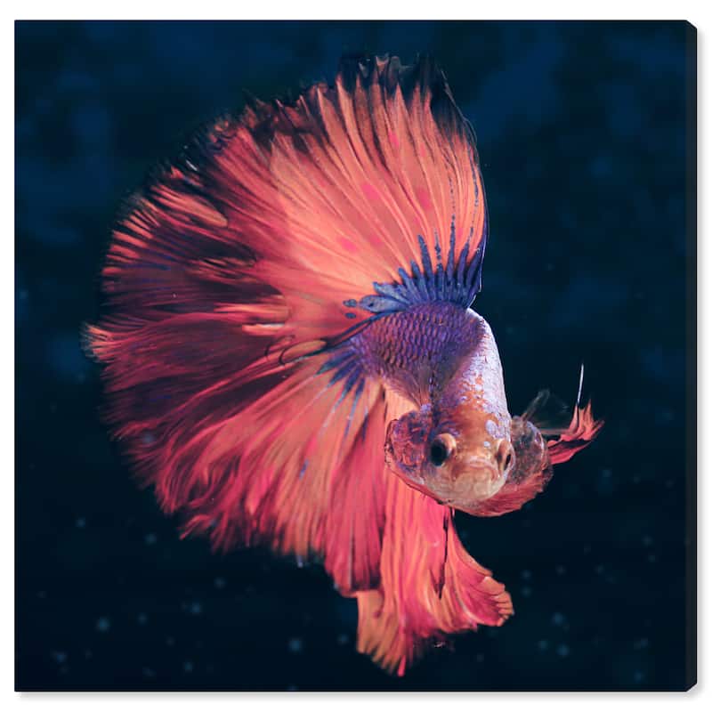 Wynwood Studio Canvas Animals Dressed in coral Orange and Modern & Contemporary Wall Art Canvas Print