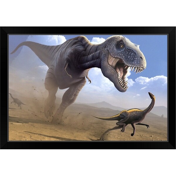 "Tyrannosaurus rex dinosaur hunting an Ornithomimus dinosaur." Black Framed Print