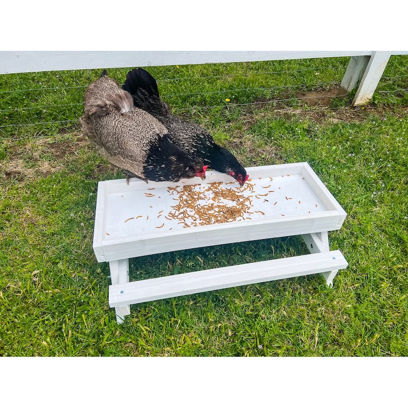 Zylina Snack-n-Feed Picnic Table - N/A - 26x17x8