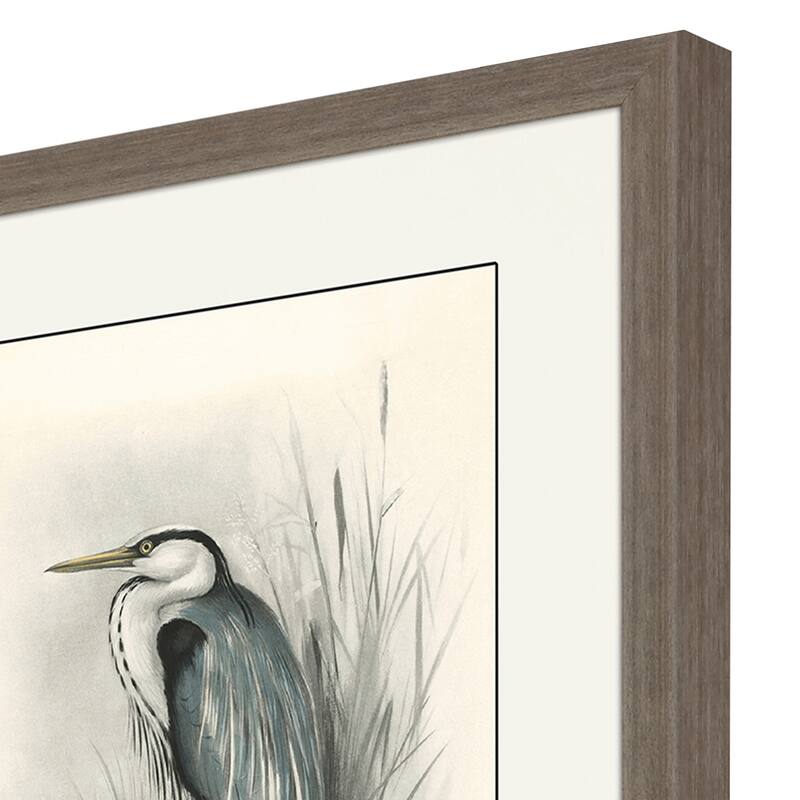 Birds S/4 Framed Art Giclee Under Glass - Grey