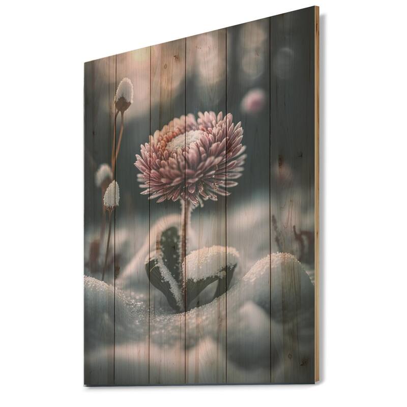Designart 'A Blooming Pink Daisy Flower In Winter III' Floral Rose Wood ...