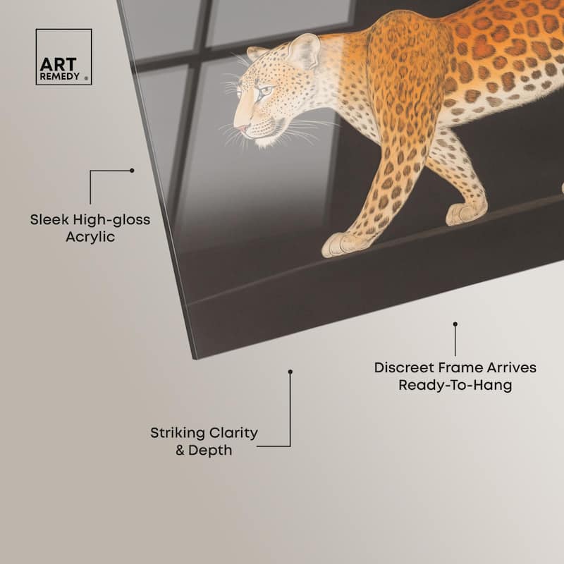Golden Leopard Acrylic by Art Remedy, Ready to Hang