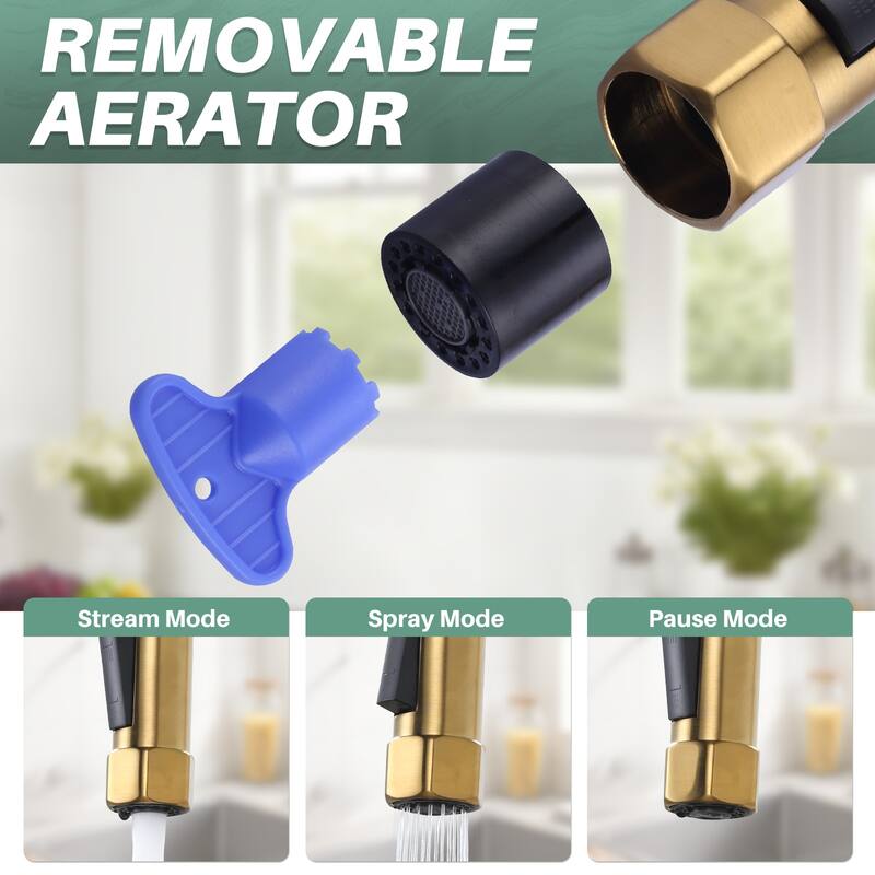 WOWOW Double Handle Pull Down Kitchen Faucet