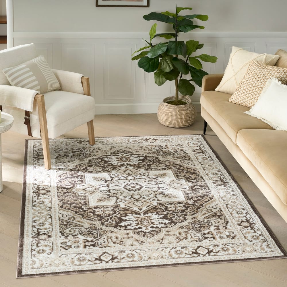 Nourison Dekor Indoor only Persian Area Rug