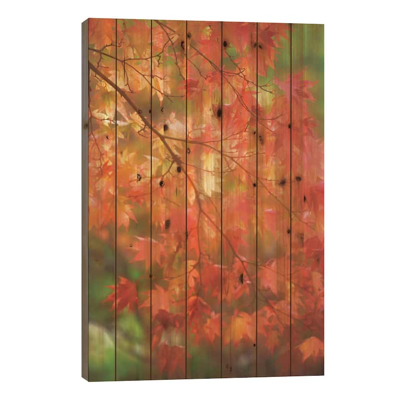 Maple Leaves In Autumn Print On Wood by Janell Davidson - Multi-Color - 40x26x1.5
