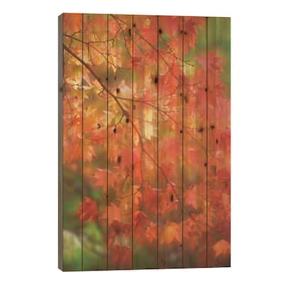 Maple Leaves In Autumn Print On Wood by Janell Davidson - Multi-Color