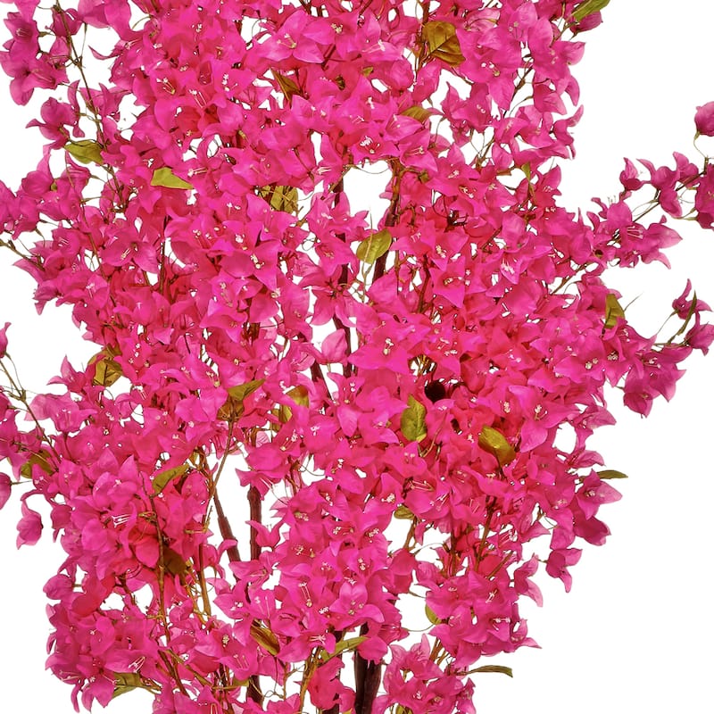 Bougainvillea Tree 6'