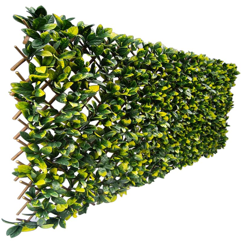 Decor Indoor/Outdoor Expandable Faux Lemon Leaf Lattice Screen - Green