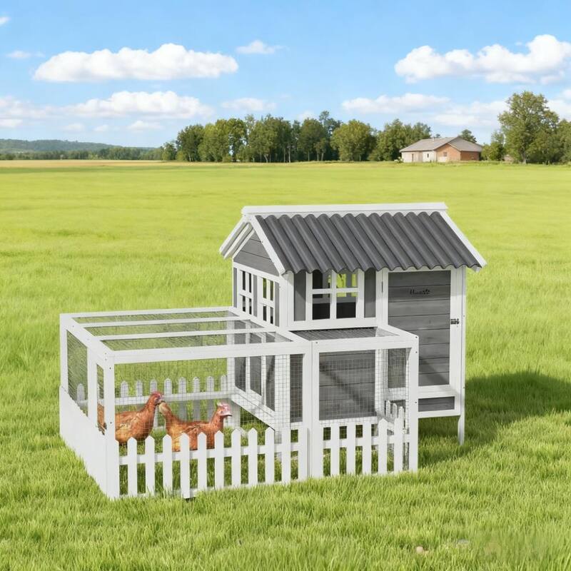 Wooden Chicken Coop for 3-4 Chickens
