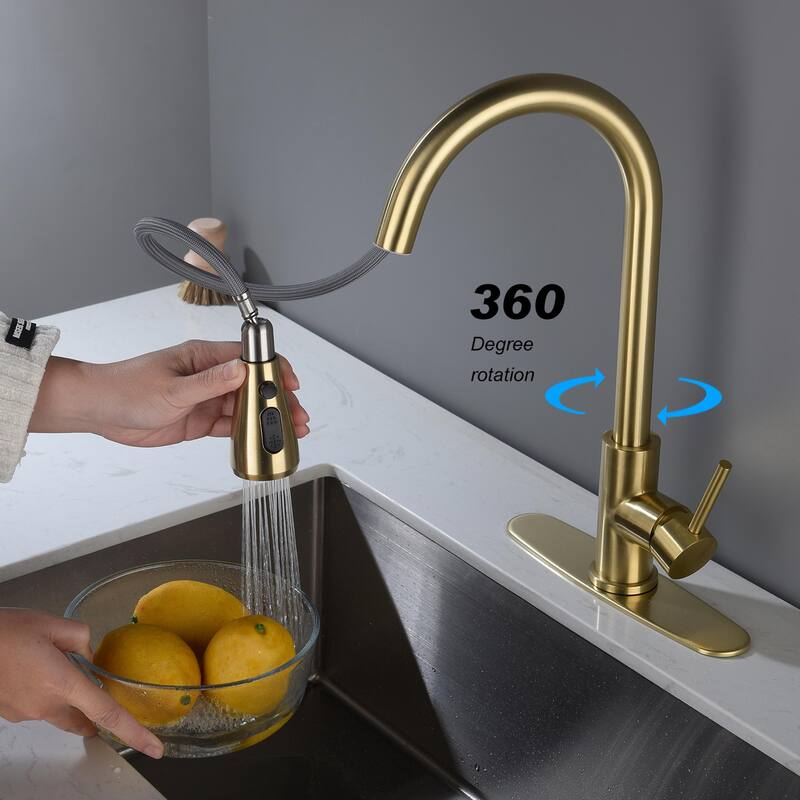 Kitchen Faucet with Pull Out Spraye 