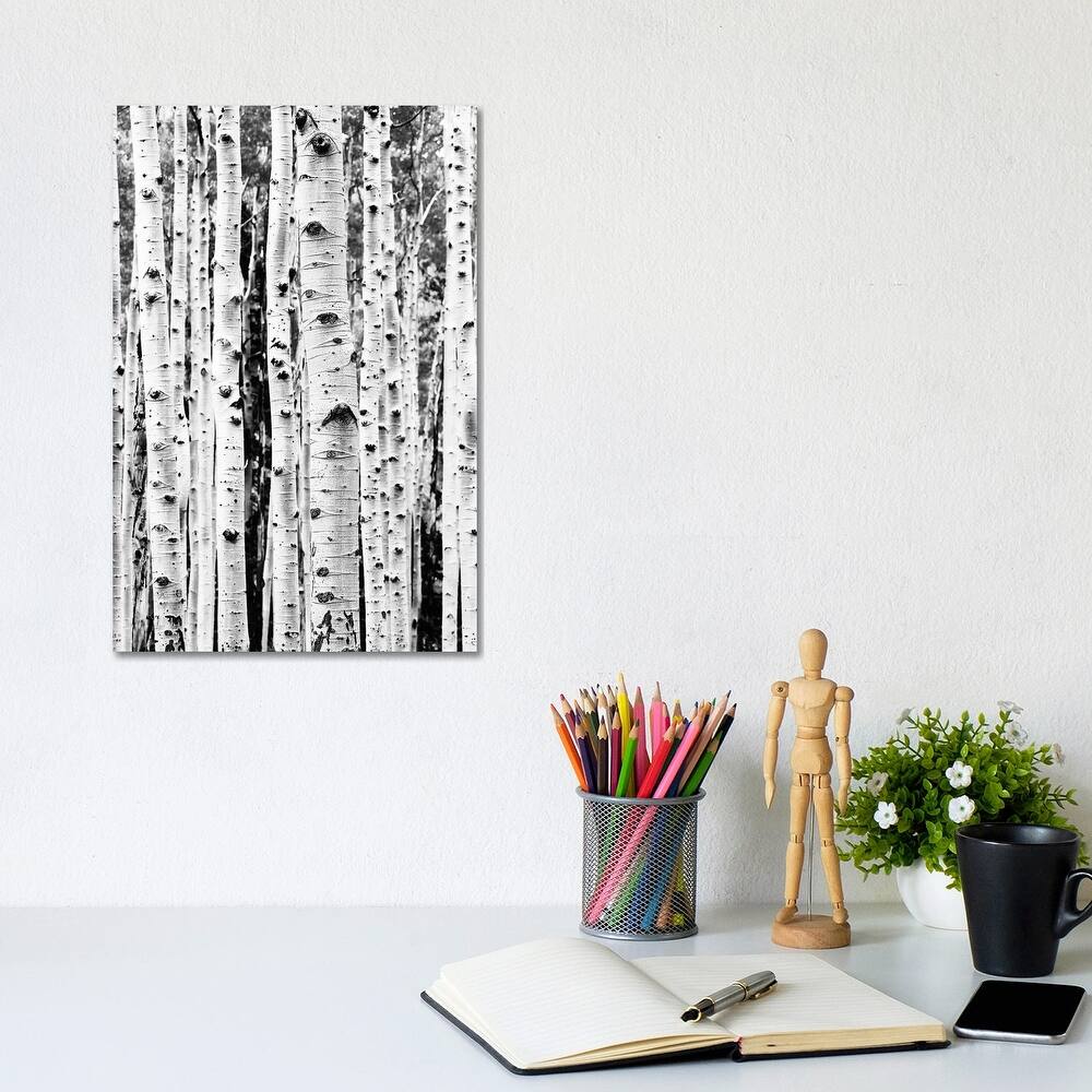 iCanvas "Birch In Black & White" by Sisi & Seb Canvas Print