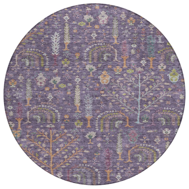 Machine Washable Indoor/ Outdoor Traditional Global Chantille Rug