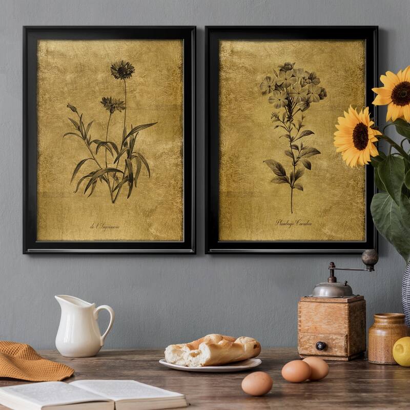 Gold Sketch Botanical I Premium Framed Print - Ready to Hang - Multi-Color