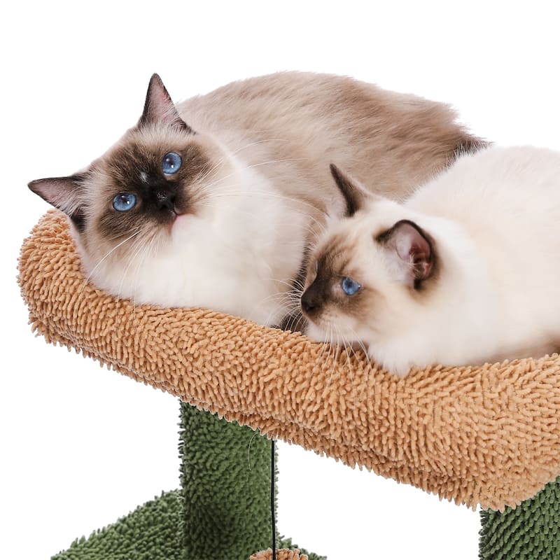 Cat Tree 41 Inches Cactus Cat Tower with Sisal Covered Scratching Post