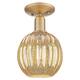Option Brushed Brass