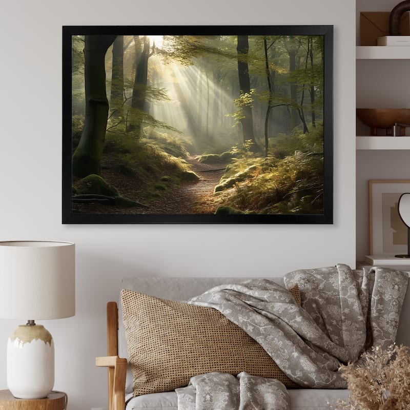 Designart "Light Streams Through Forest Iii" Landscape Forest Framed Canvas Art Print - 32 in. wide x 24 in. high - Black