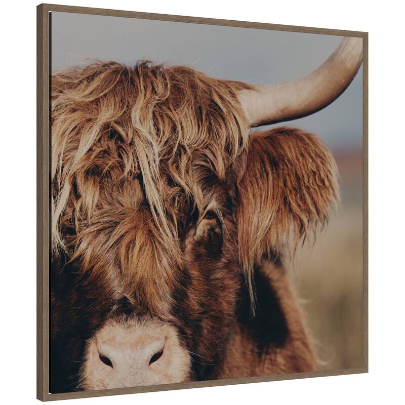 Kate and Laurel Highland Cow by Laura Evans Framed Canvas Wall Art Print - 30 x 30