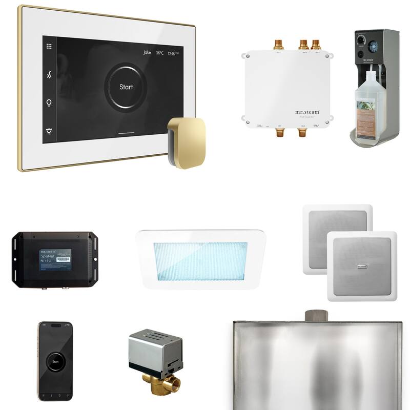 Mr Steam BLS1 Bliss Package Steam Shower Control Package with Isteamx - White / Satin Brass