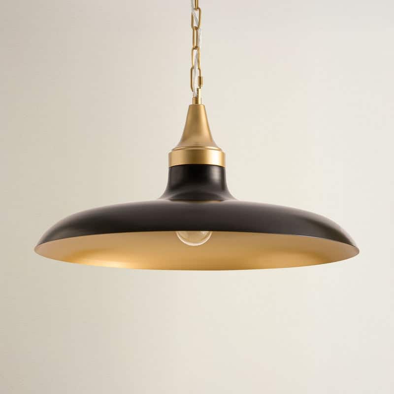 Raven Black Dome Pendant Light