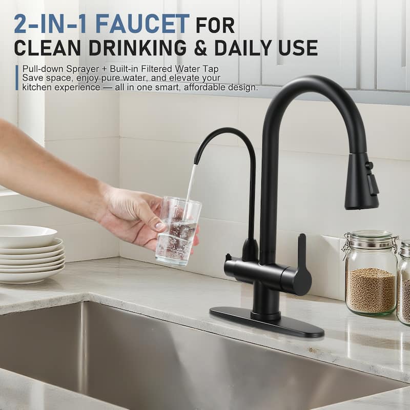 WOWOW 3 Function Pull Down Sprayer kitchen Faucet with Filter Spout