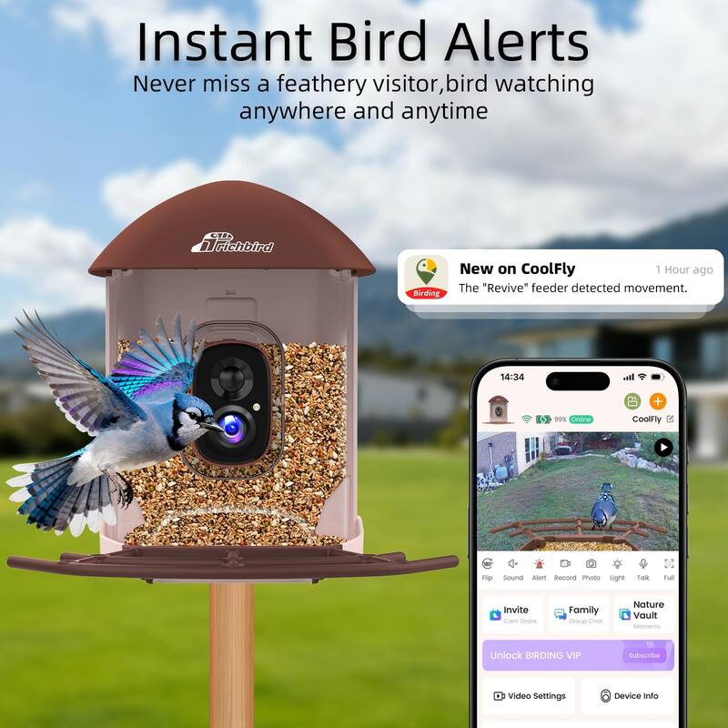 Smart Solar Bird Feeder with Camera and Interactive App