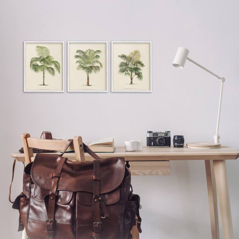 Stupell Les Palmiers Botanical Trio Framed Giclee Art Design by World Art Group (Set of 3)