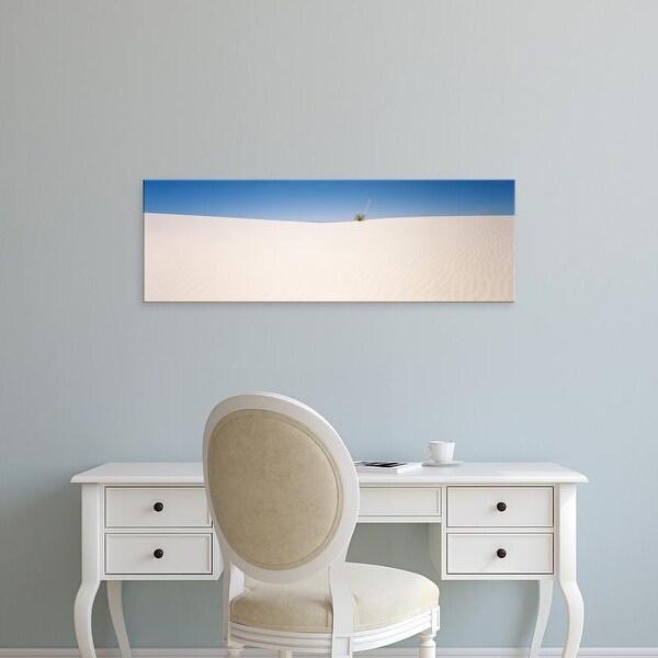 Easy Art Prints Panoramic Images's 'Plant growing in a desert, White Sands National Monument, New Mexico' Canvas Art