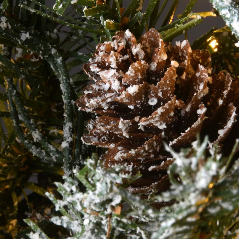 National Tree Company 2 ft. Snowy Morgan Spruce Wreath with Dual Color LED Cosmic Lights - 2 ft