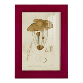 Mushroom Varieties V -Framed Print w/glass-Cherry Red - Bed Bath ...