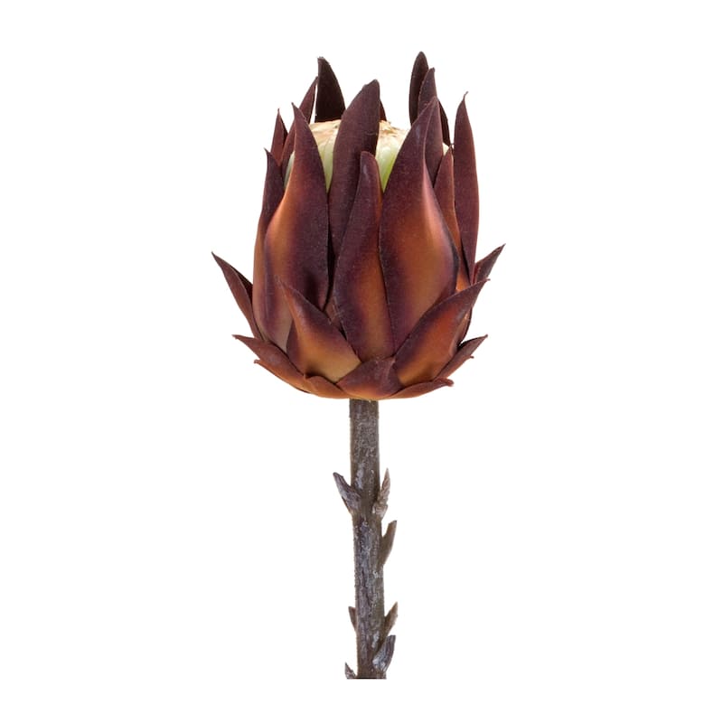 Protea Stem (Set of 6) - 3 x 3 x 19.75
