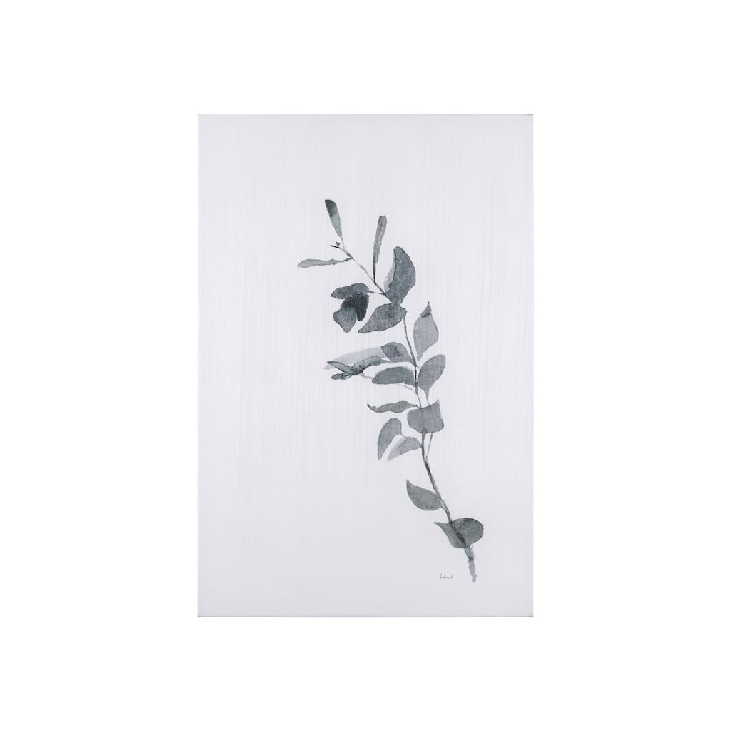 Leaf Shadow III (24 x 36 ) Canvas Art Print