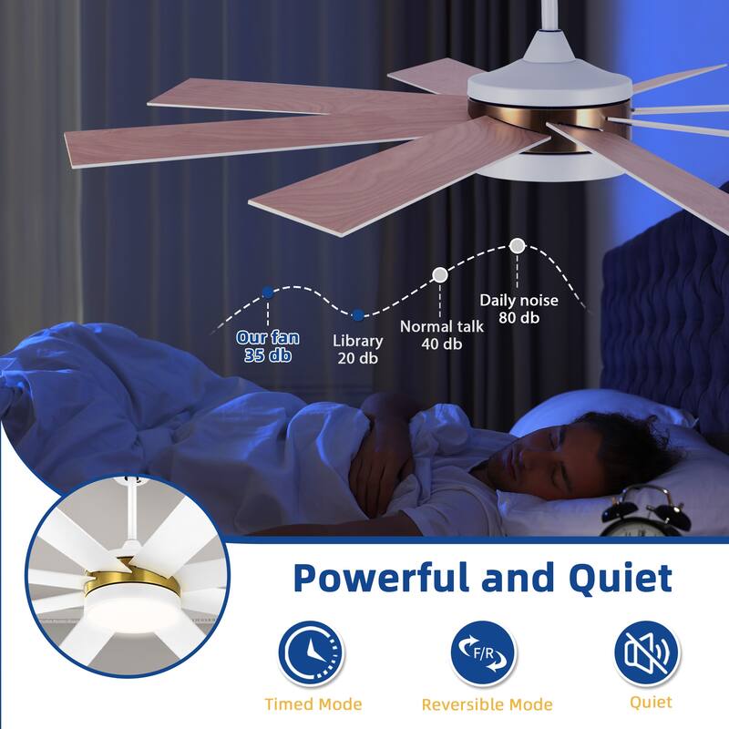 Moasis 60-inch 8 Blades Ceiling Fan with Light and Remote Control