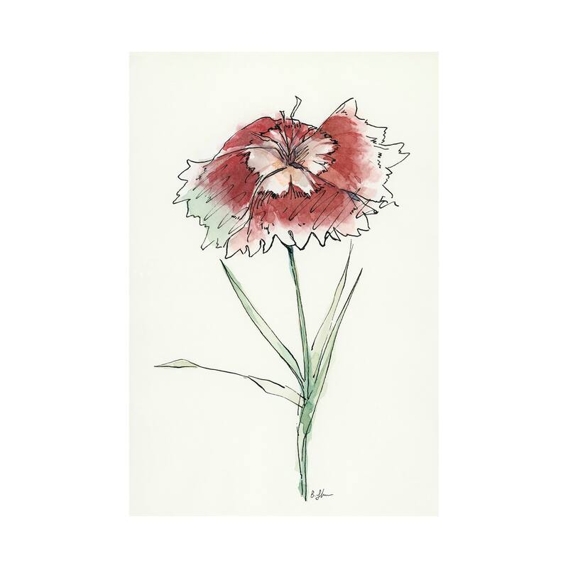 Dianthus I (30 x 45) Canvas Art Print - Large