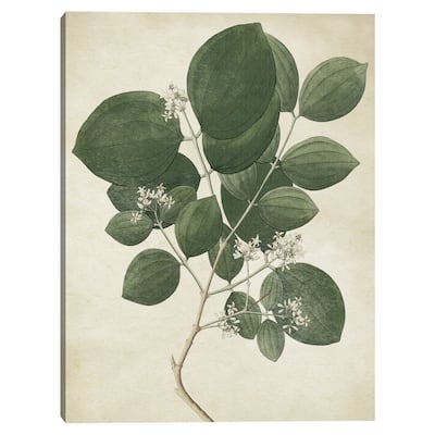 Simple Nature VI Texture Canvas Art Print