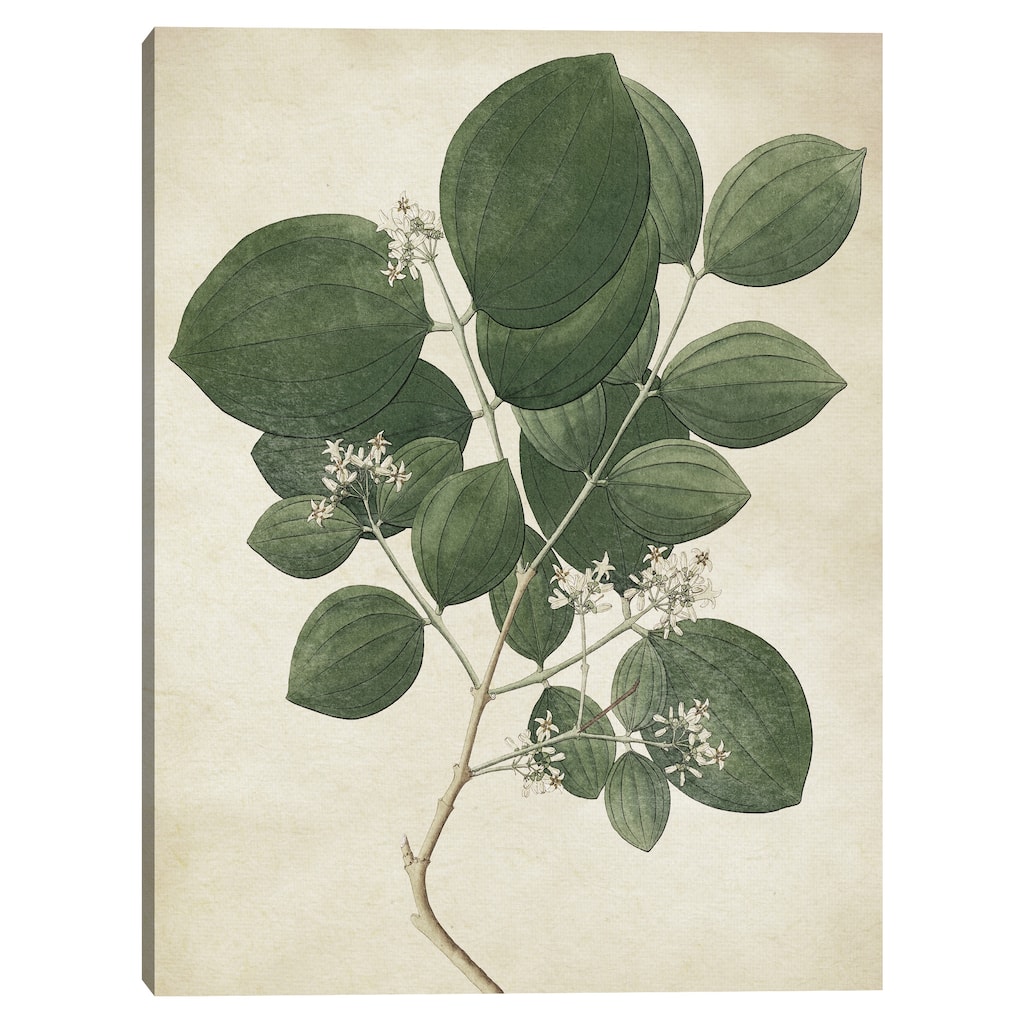 Simple Nature VI Texture Canvas Art Print