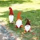 Option Set of 3-Gnome Family