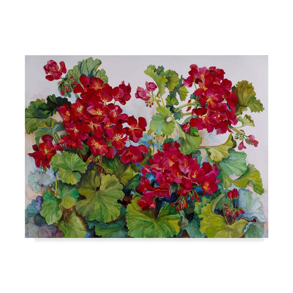 Joanne Porter 'Deep Red Geraniums' Canvas Art