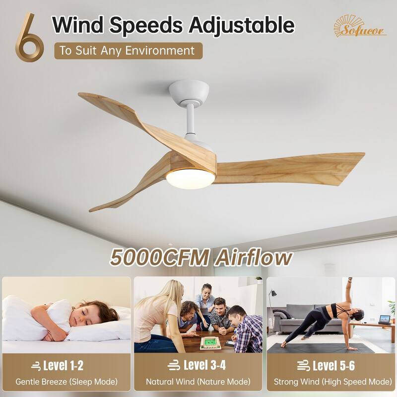 52"Solid Wood Ceiling Fan with Light Optional, 6-Speed Reversible DC Motor and Remote control,Smart Optional - 52"-Non-Smart-With lights - White with Natrual solid wood Blades