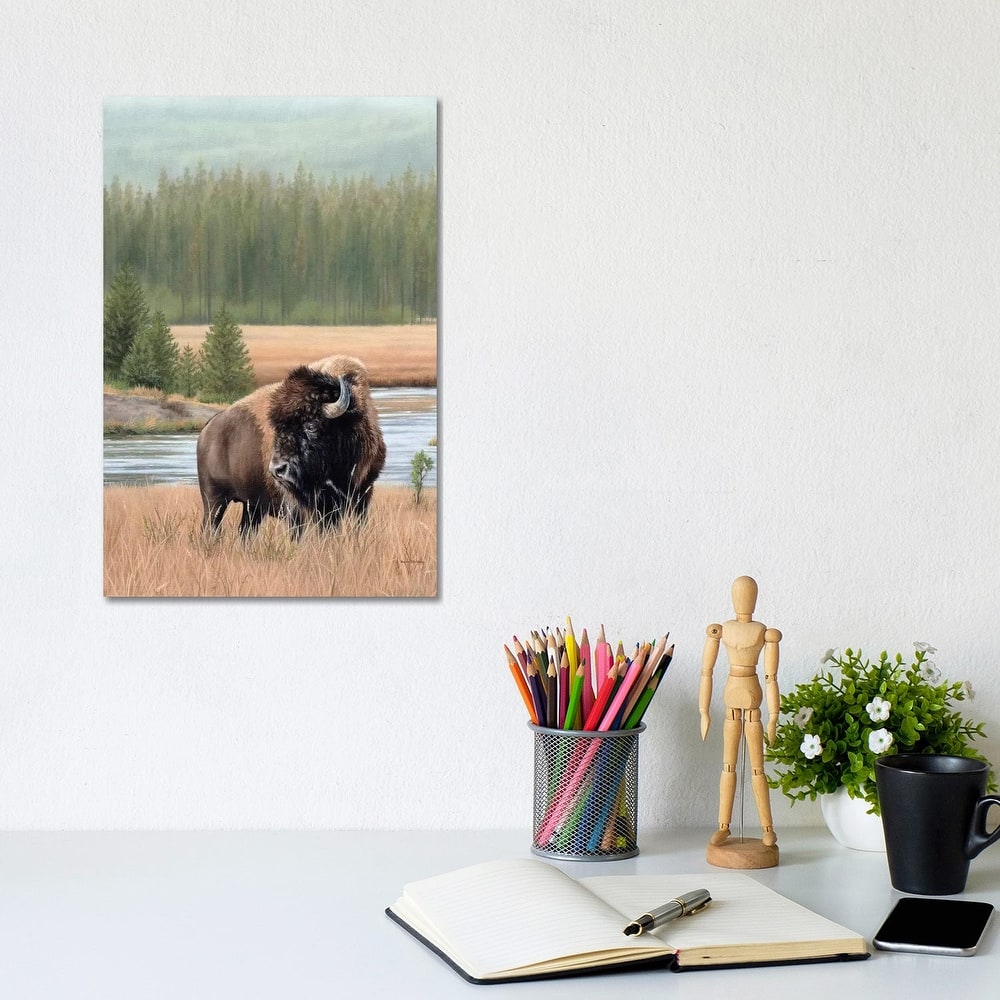 iCanvas "American Bison" by Rachel Stribbling Canvas Print
