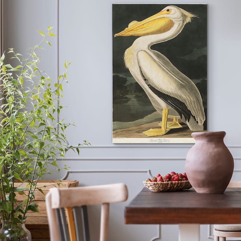 Pl 311 American White Pelican-Premium Gallery Wrapped Canvas