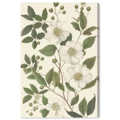 White Cherokee II Canvas by Art Remedy, Gallery Wrapped