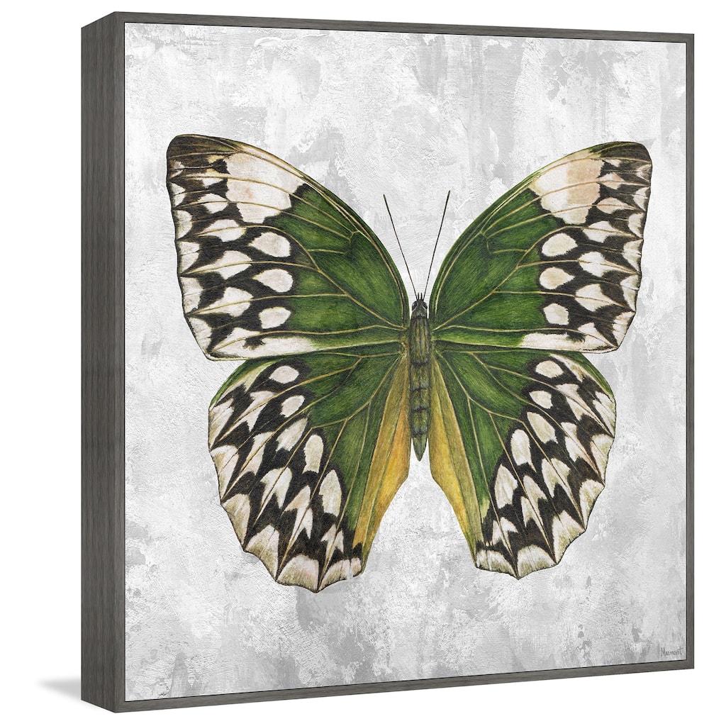 Nature's Angel Floater Framed Print on Canvas